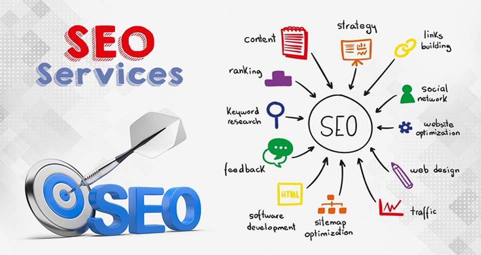 seo expert in chandigarh