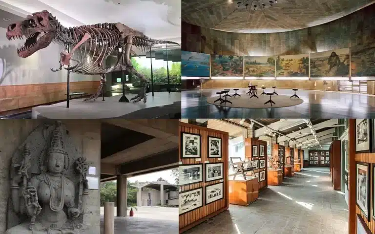 Best 10 Famous Museums in Chandigarh