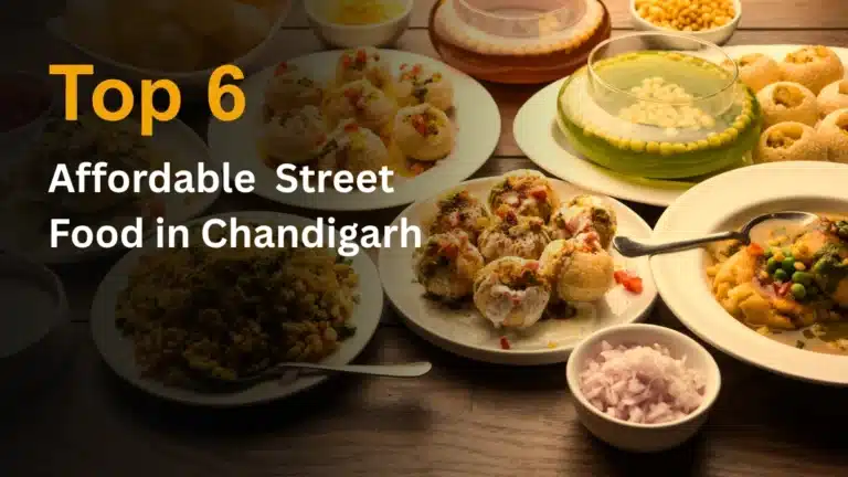Top 6 Affordable Street Foods in Chandigarh